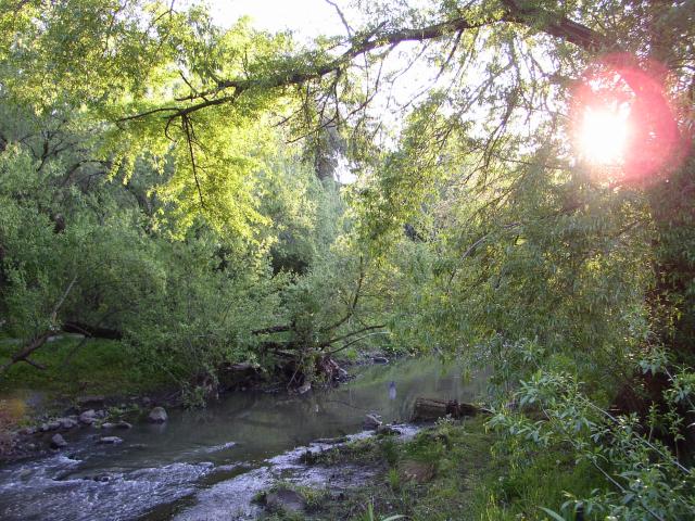 Merry Creek II