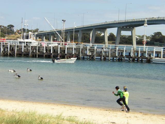 Bridge to Philip Island