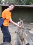 Vlado füttert ein Känguruh