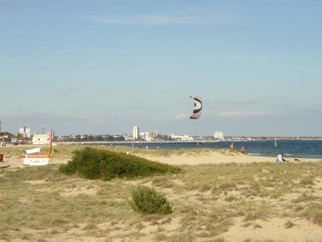 A kite at the beach