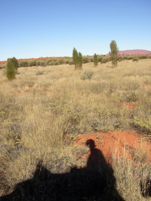 Me, my Shade and Uluru